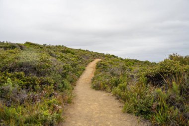 Tazmanya çöllerinde dağ altındaki çalılıklarda yürüyüş yapan bir kadın ve vahşi doğada sırt çantasıyla kamp yapan bir kadın.