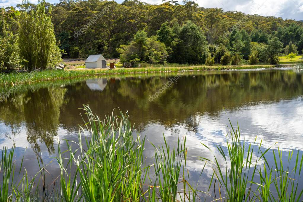 lake in a garden of a farm in australia