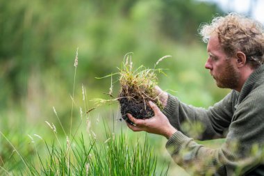 toprak mantarları bir çiftlikte karbon karbonu depoluyor, karbon kredisi alıyorlar. 