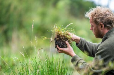 Avustralyalı toprak bilimci. Yenileyici organik çiftçi, toprak örnekleri alıyor ve bir çiftlikteki bitkilere bakıyor. sürdürülebilir uygulama 