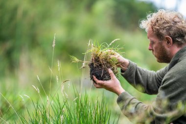 Yenileyici organik çiftçi, toprak örnekleri alıyor ve bir çiftlikteki bitkilere bakıyor. sürdürülebilir tarım uygulaması 