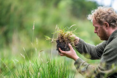 Tazmanya Avustralya 'daki bir tarlada gübre hissederek toprağı elinde tutan tarım çiftçisi. Avusturalya 'daki toprak bilimcisi
