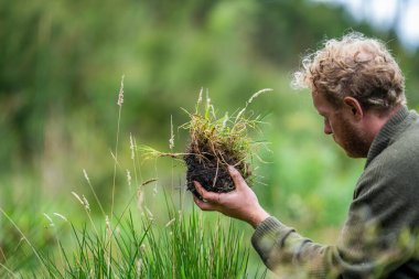 Avustralyalı toprak bilimci. Yenileyici organik çiftçi, toprak örnekleri alıyor ve bir çiftlikteki bitkilere bakıyor. sürdürülebilir uygulama 