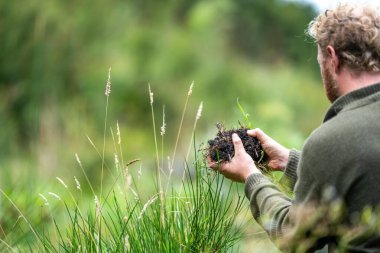 Çiftçi tarladaki bir test tüpünden toprak örnekleri topluyor. Toprak karbon ve bitki sağlığını kontrol eden tarımcı