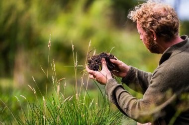 toprak mantarları bir çiftlikte karbon karbonu depoluyor, karbon kredisi alıyorlar. 