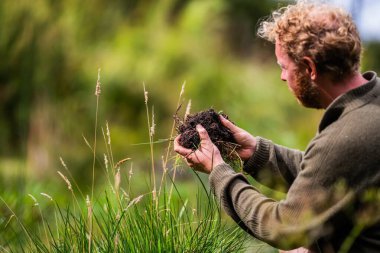 Yenileyici organik çiftçi, toprak örnekleri alıyor ve bir çiftlikteki bitkilere bakıyor. sürdürülebilir tarım uygulaması 