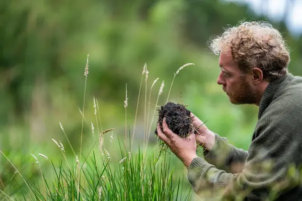 Yenileyici Organik Çiftçi Toprak Örnekleri Alıyor Bir Çiftlikteki Bitkilere Bakıyor Telifsiz Stok Imajlar