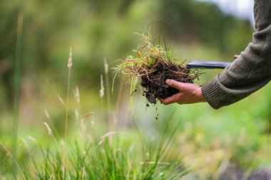 toprak mantarları bir çiftlikte karbon karbonu depoluyor, karbon kredisi alıyorlar. 