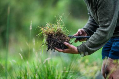 Avustralyalı toprak bilimci. Yenileyici organik çiftçi, toprak örnekleri alıyor ve bir çiftlikteki bitkilere bakıyor. sürdürülebilir uygulama 