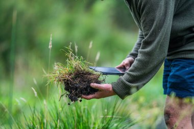 toprak mantarları bir çiftlikte karbon karbonu depoluyor, karbon kredisi alıyorlar. 