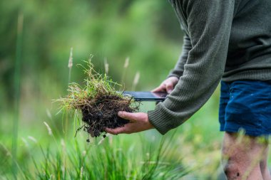 Yenileyici organik çiftçi, toprak örnekleri alıyor ve bir çiftlikteki bitkilere bakıyor. sürdürülebilir tarım uygulaması 