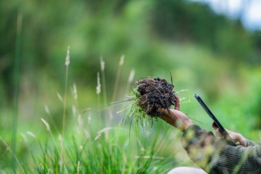 toprak mantarları bir çiftlikte karbon karbonu depoluyor, karbon kredisi alıyorlar. 