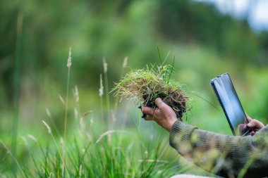 toprak mantarları bir çiftlikte karbon karbonu depoluyor, karbon kredisi alıyorlar. 