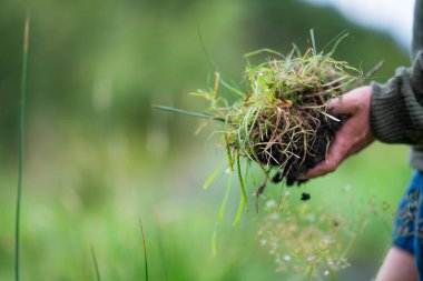 Şapka takan çiftçi güneş kadar zeki. bir alanda teknoloji, tablet ve telefon kullanarak, toprak ve bitki örneklerini inceleyerek,