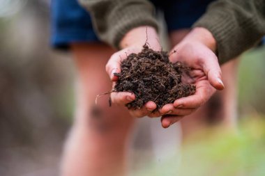 Tazmanya Avustralya 'daki bir tarlada gübre hissederek toprağı elinde tutan tarım çiftçisi. Avusturalya 'daki toprak bilimcisi