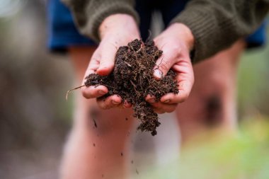 Zirai tarım yapan bir çiftlikte toprak tutarak ev laboratuarında toprak testleri yapıyor. Toprak hayatına bakıyorum. 