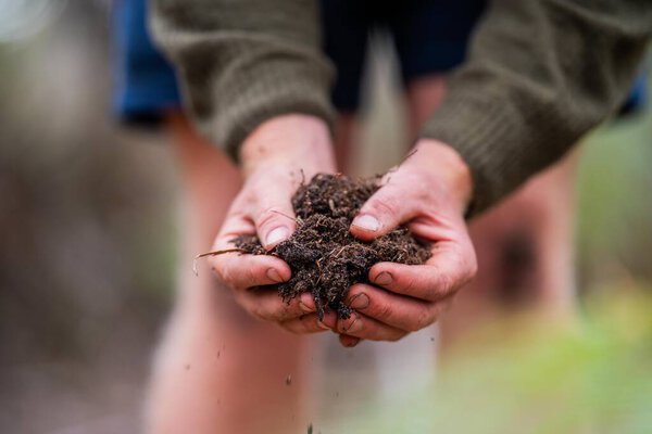 farmer wearing a hat being sun smart. using technology and a tablet and phone in a field, studying a soil and plant sample