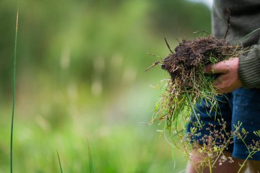 Çiftlikte tarımcılık yapan bir tarımcı. Toprak işleme uzmanı. Ev laboratuarında toprak testi yapıyor. Toprak yaşamına ve sağlığına bakıyorum.