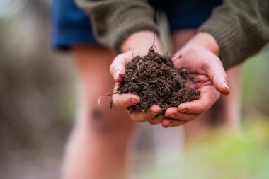 Çiftlikte tarımcılık yapan bir tarımcı. Toprak işleme uzmanı. Ev laboratuarında toprak testi yapıyor. Toprak yaşamına ve sağlığına bakıyorum.