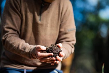 toprak bilimci çiftçi baharda bir tarlada toprak örneklerine ve çimenlere bakıyor. Toprağı tutan bitki ve toprak sağlığının büyümesine bakıyorum.