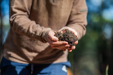 Üniversite öğrencisi orman sağlığı üzerine araştırma yapıyor. Çiftçi tarladaki bir test tüpünden toprak örnekleri topluyor. Agronomist Avustralya 'daki bir çiftlikte toprak karbon ve bitki sağlığını kontrol ediyor.