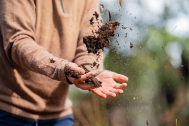 Çiftlikte tarımcılık yapan bir tarımcı. Toprak işleme uzmanı. Ev laboratuarında toprak testi yapıyor. Toprak hayatına, sağlığa ve parmaklardaki gübreye bakıyorum.