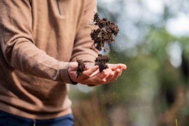 toprak bilimci çiftçi baharda bir tarlada toprak örneklerine ve çimenlere bakıyor. Toprağı tutan bitki ve toprak sağlığının büyümesine bakıyorum.