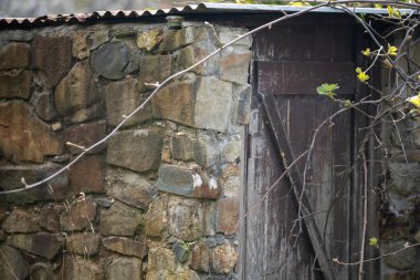 Ormanın ahşap penceresi