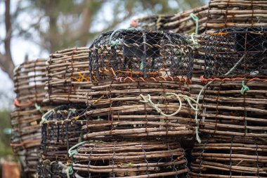Baharda Tazmanya Avustralya 'da istiflenmiş kerevit tencereleri.