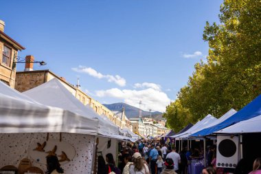 Avustralya 'da bir parkta hafta sonu pazarı. Hobart 'ta sebze ve meyve satan çiftçiler.