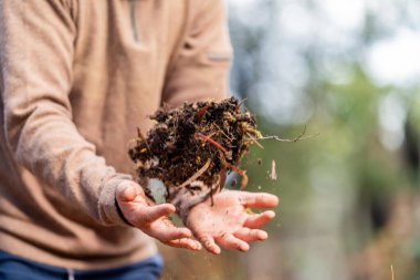 Çiftçi, Amerika 'daki bir çiftlikte toprak sağlığını gözlemek için toprağı elinde tutuyor.