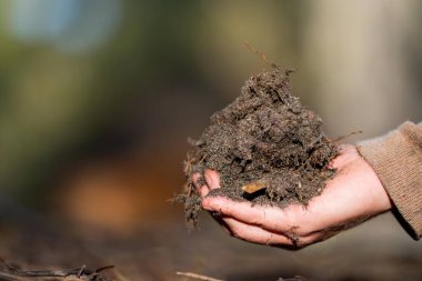 Üniversite öğrencisi orman sağlığı üzerine araştırma yapıyor. Çiftçi tarladaki bir test tüpünden toprak örnekleri topluyor. Çiftlikteki toprak karbon ve bitki sağlığını kontrol eden tarımcı. 