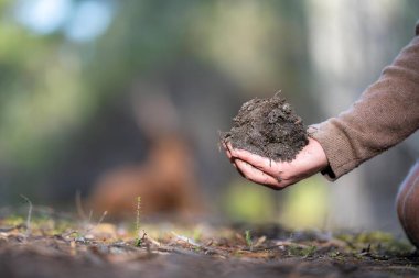 Çiftçi toprağı elinde tutuyor ve toprağa toprak döküyor. Karaya ve çevreye bağlı. Avustralya 'da toprak tarımı. Toprak çalılığı çalışması. Doğayla iç içe.
