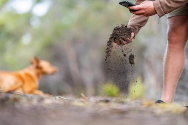 Üniversite öğrencisi orman sağlığı üzerine araştırma yapıyor. Çiftçi tarladaki bir test tüpünden toprak örnekleri topluyor. Çiftlikteki toprak karbon ve bitki sağlığını kontrol eden tarımcı. 