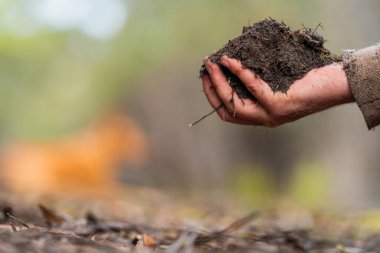 Üniversite öğrencisi orman sağlığı üzerine araştırma yapıyor. Çiftçi tarladaki bir test tüpünden toprak örnekleri topluyor. Çiftlikteki toprak karbon ve bitki sağlığını kontrol eden tarımcı. 