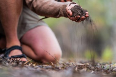 Çiftçi, Amerika 'daki bir çiftlikte toprak sağlığını gözlemek için toprağı elinde tutuyor.