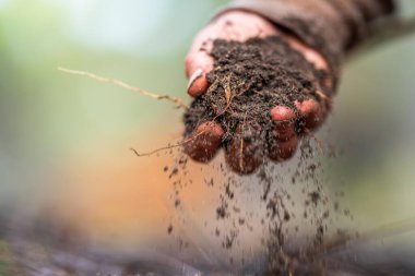 Üniversite öğrencisi orman sağlığı üzerine araştırma yapıyor. Çiftçi tarladaki bir test tüpünden toprak örnekleri topluyor. Çiftlikteki toprak karbon ve bitki sağlığını kontrol eden tarımcı. 