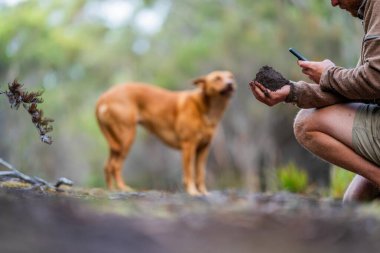 Üniversite öğrencisi orman sağlığı üzerine araştırma yapıyor. Çiftçi tarladaki bir test tüpünden toprak örnekleri topluyor. Agronomist baharda Avustralya 'da bir çiftlikte toprak karbon ve bitki sağlığını kontrol ediyor.