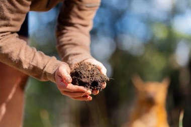 Çiftçi, Amerika 'daki bir çiftlikte toprak sağlığını gözlemek için toprağı elinde tutuyor.