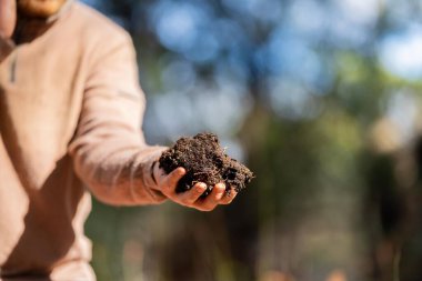 toprak bilimci çiftçi baharda bir tarlada toprak örneklerine ve çimenlere bakıyor. Amerika 'da bitkilerin ve toprak sağlığının büyümesine bakıyoruz.