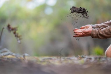 Toprağı ellerinde tutarak. Tarlada bir çiftçiyle tarım tarımı. Avusturalya 'da toprak yönetimi