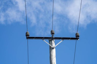 Elektrik hatları yazın çalılıklarda bir ormandan geçiyor.