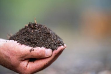 Çiftçi, çiftlikte toprak sağlığını gözlemek için toprağı elinde tutuyor..