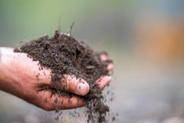 toprak bilimci çiftçi baharda bir tarlada toprak örneklerine ve çimenlere bakıyor. Bitkilerin ve toprak sağlığının büyümesine bakıyoruz. toprak örnekleri
