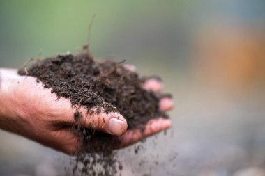 Çiftçi toprağı elinde tutuyor ve toprağa toprak döküyor. Karaya ve çevreye bağlı. Avustralya 'da toprak tarımı. toprak fundalığı çalışması