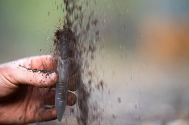 Çiftçi, çiftlikte toprak sağlığını gözlemek için toprağı elinde tutuyor..