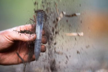 Çiftçi, Avustralya 'daki bir çiftlikte toprak sağlığını gözlemek için toprağı elinde tutuyor.