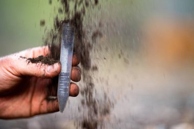 Yenileyici organik çiftçi, toprak örnekleri alıyor ve bir çiftlikteki bitkilere bakıyor. Sürdürülebilir tarım uygulaması. Amerika ve Avustralya 'da