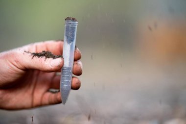 Çiftçi, çiftlikte toprak sağlığını gözlemek için toprağı elinde tutuyor..