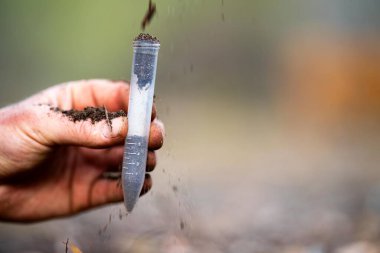Çiftçi, Avustralya 'daki bir çiftlikte toprak sağlığını gözlemek için toprağı elinde tutuyor.